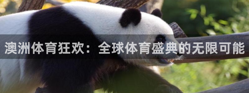 米兰体育网页版：澳洲体育狂欢：全球体育盛典的无限可能