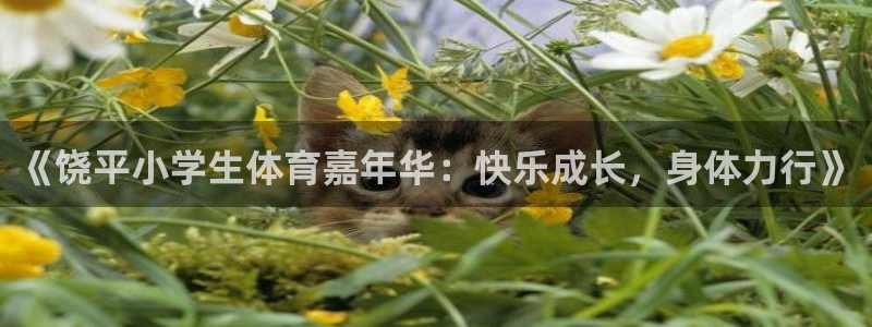 米兰体育.