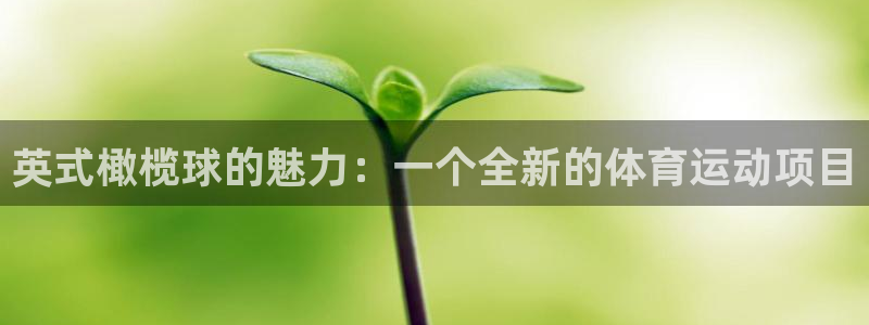 米兰体育网址